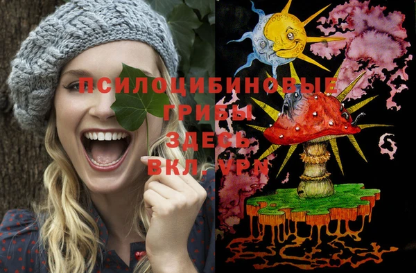 герыч Сосновый Бор